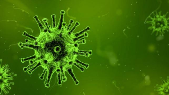 Virus Corona Berdampak Pada Kapal Pesiar
